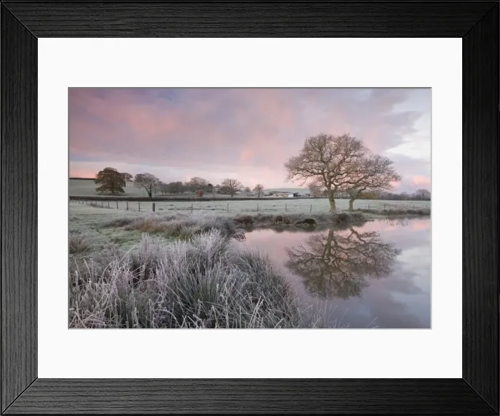Framed Print : Frosty conditions at dawn beside a pond in the countryside, Morchard Road, Devon, England Framed Print : Frosty conditions at dawn beside a pond in the countryside, Morchard Road, Devon, England