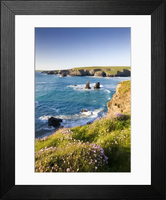 Framed Print : Clifftop view of Porthcothan Bay with Spring wildflowers, Cornwall, England. Spring Framed Print : Clifftop view of Porthcothan Bay with Spring wildflowers, Cornwall, England. Spring