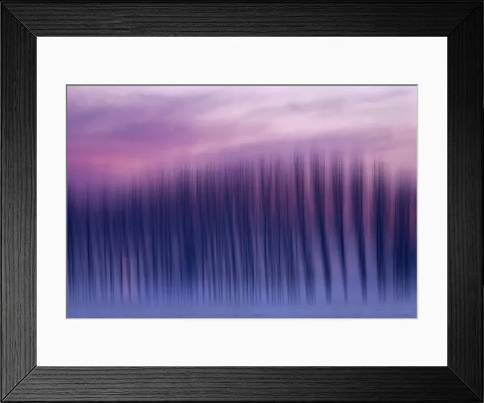Framed Print : Plain Piedmont, Piedmont, Italy. Poplars impressions of light Framed Print : Plain Piedmont, Piedmont, Italy. Poplars impressions of light