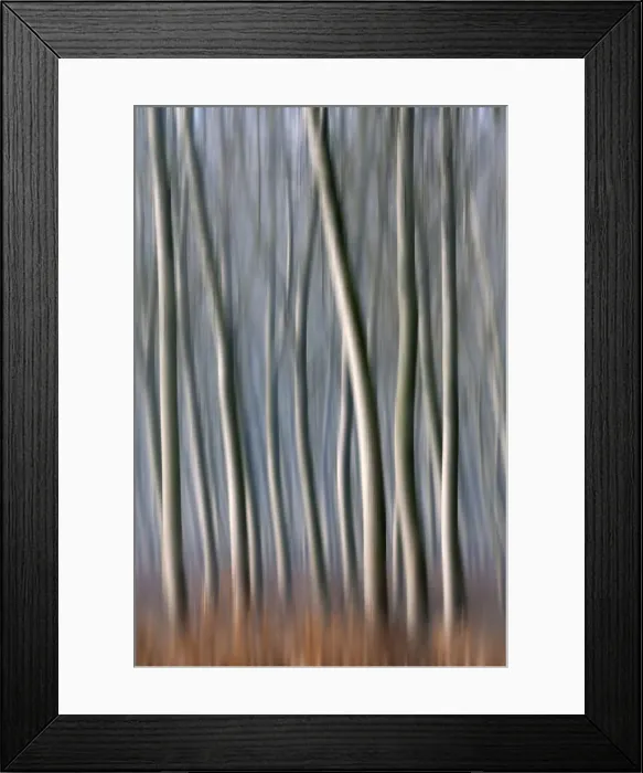Framed Print : Plain Piedmont, Piedmont, Italy. Autumn abstract trees Framed Print : Plain Piedmont, Piedmont, Italy. Autumn abstract trees