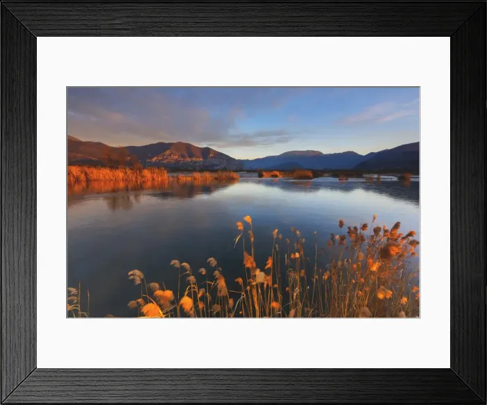 Framed Print : Natural Reserve, Torbiere del Sebino, Brescia province, lombardy district, Italy Framed Print : Natural Reserve, Torbiere del Sebino, Brescia province, lombardy district, Italy