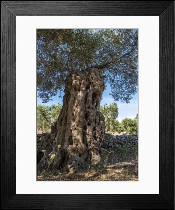 Framed Print : Otranto, province of Lecce, Salento, Apulia, Italy Framed Print : Otranto, province of Lecce, Salento, Apulia, Italy