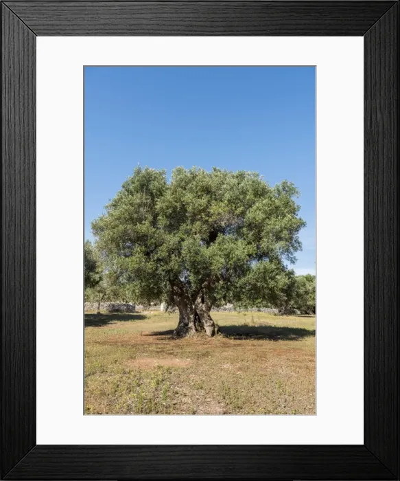 Framed Print : Otranto, province of Lecce, Salento, Apulia, Italy Framed Print : Otranto, province of Lecce, Salento, Apulia, Italy