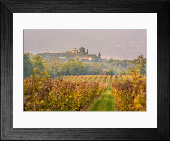Framed Print : Franciacorta, Brescia province, Lombardy district, Italy, Europe Framed Print : Franciacorta, Brescia province, Lombardy district, Italy, Europe