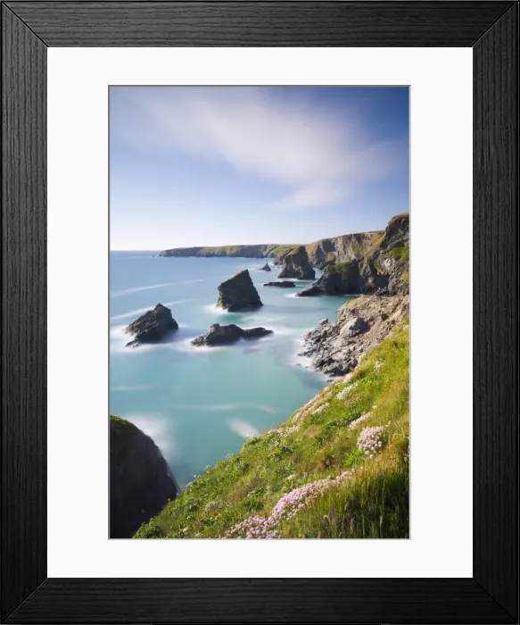 Framed Print : Pink sea thrift wildflowers on the clifftops above Bedruthan Steps, Cornwall, England Framed Print : Pink sea thrift wildflowers on the clifftops above Bedruthan Steps, Cornwall, England