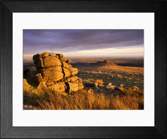 Framed Print : Golden sunshine glows against the granite outcrops at Belstone Tor, Dartmoor National Park