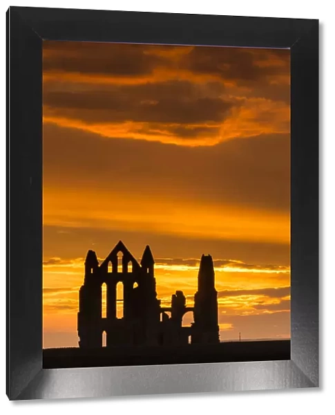 United Kingdom, England, North Yorkshire, Whitby. Whitby Abbey was founded in 657 AD by Oswy
