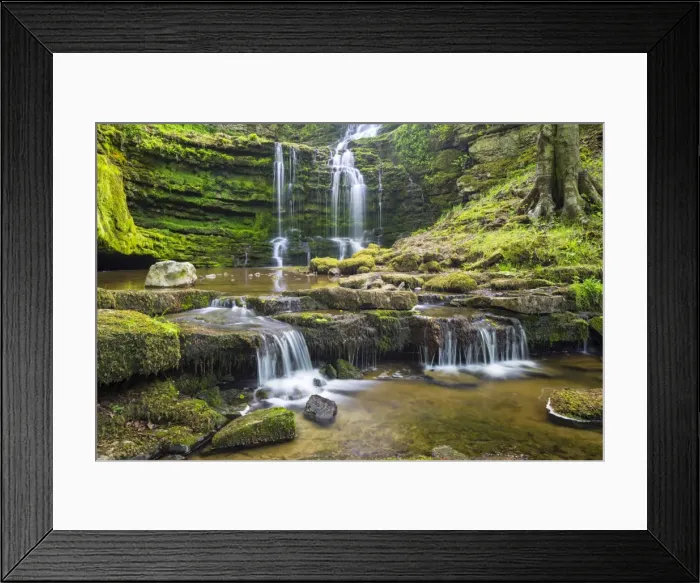 Framed Print : United Kingdom, England, North Yorkshire, Settle, Scaleber Force at Springtime Framed Print : United Kingdom, England, North Yorkshire, Settle, Scaleber Force at Springtime