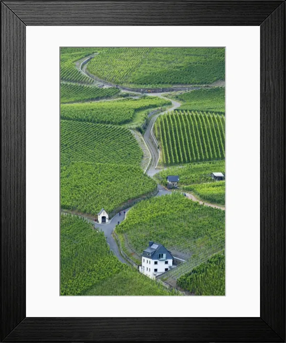 Framed Print : Vineyards, Bernkastel-Kues, Rhineland-Palatinate, Germany Framed Print : Vineyards, Bernkastel-Kues, Rhineland-Palatinate, Germany
