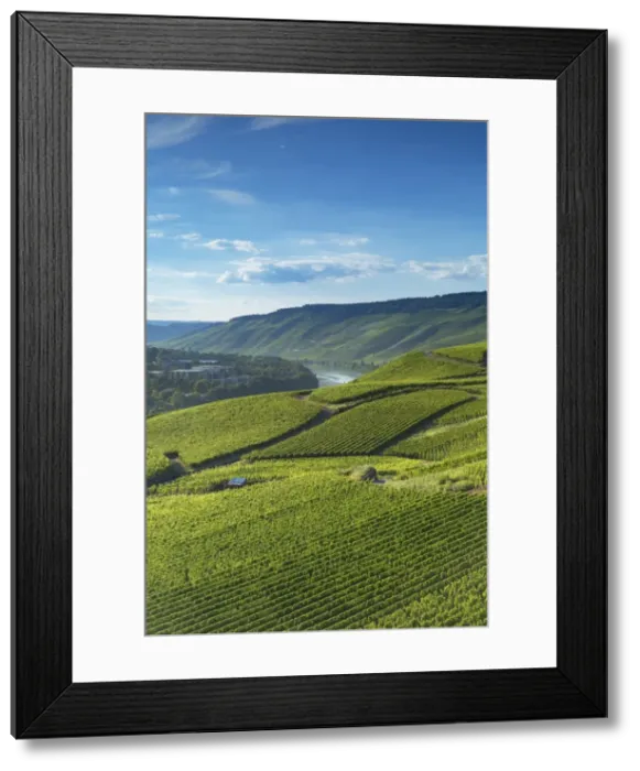 Framed Print : View of vineyards and River Moselle, Bernkastel-Kues, Rhineland-Palatinate, Germany Framed Print : View of vineyards and River Moselle, Bernkastel-Kues, Rhineland-Palatinate, Germany