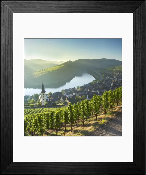 Framed Print : View of River Moselle, Bremm, Rhineland-Palatinate, Germany Framed Print : View of River Moselle, Bremm, Rhineland-Palatinate, Germany