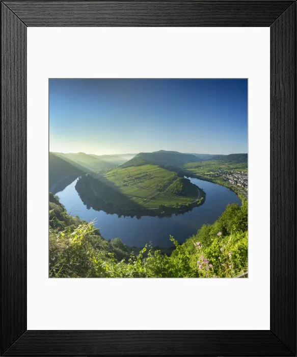 Framed Print : View of River Moselle, Bremm, Rhineland-Palatinate, Germany Framed Print : View of River Moselle, Bremm, Rhineland-Palatinate, Germany