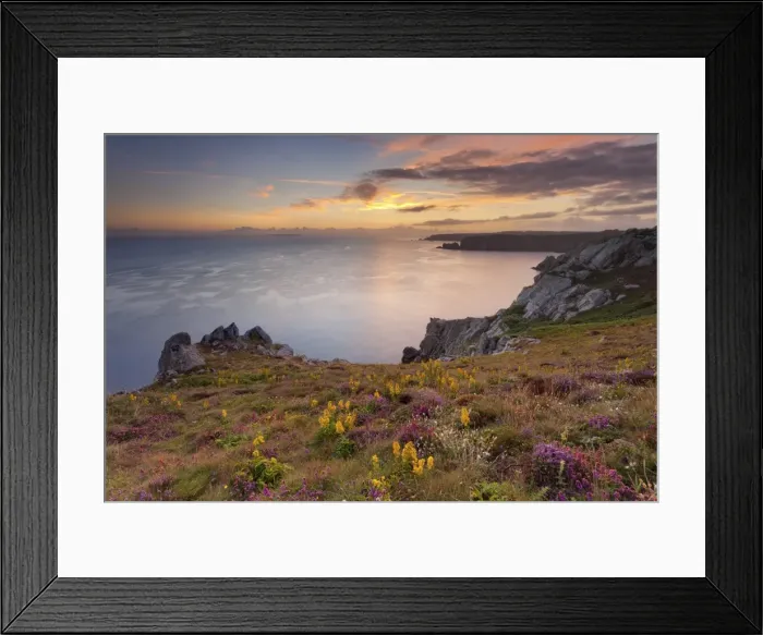Framed Print : Pointe du Van, Brittany, France. Blooms on Pointe du Van cliffs