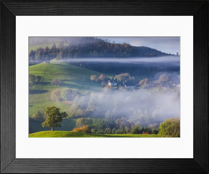 Framed Print : Germany, Baden-Wurttemburg, Black Forest, Horben, morning fog, autumn Framed Print : Germany, Baden-Wurttemburg, Black Forest, Horben, morning fog, autumn