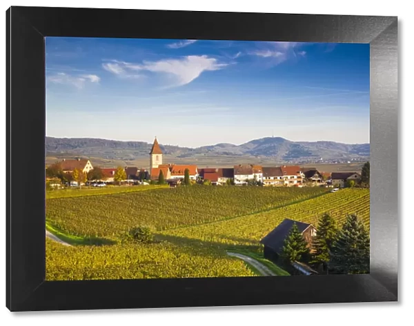 Germany, Baden-Wurttemburg, Burkheim, Kaiserstuhl Area, vineyards elevated village view