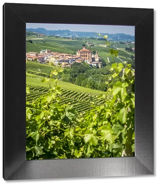 Europe, Italy, Piedmont. View of Barolo surrounded by vineyards