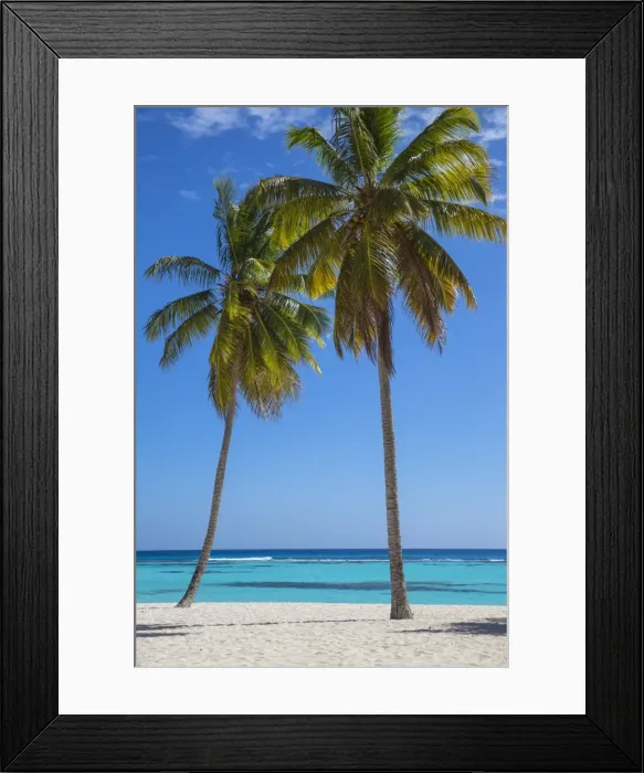 Framed Print : Dominican Republic, Punta Cana, Parque Nacional del Este, Saona Island, Canto de la Playa Framed Print : Dominican Republic, Punta Cana, Parque Nacional del Este, Saona Island, Canto de la Playa