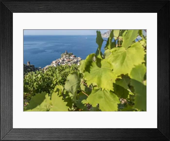 Framed Print : Europe, Italy, Cinque Terre. View of Vernazza Framed Print : Europe, Italy, Cinque Terre. View of Vernazza