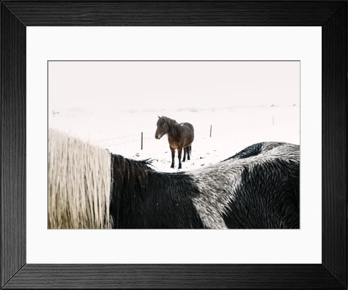 Framed Print : Southern Iceland, Iceland, Northern Europe Framed Print : Southern Iceland, Iceland, Northern Europe