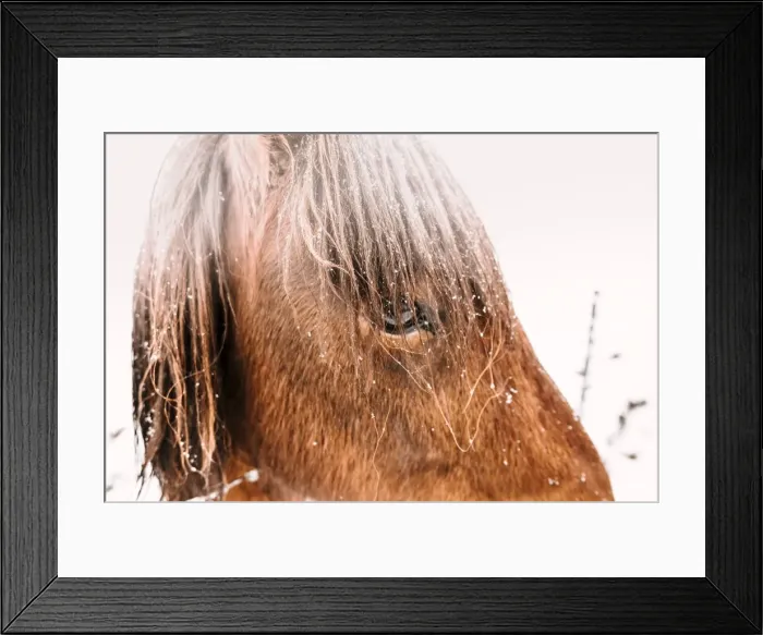 Framed Print : Southern Iceland, Iceland, Northern Europe