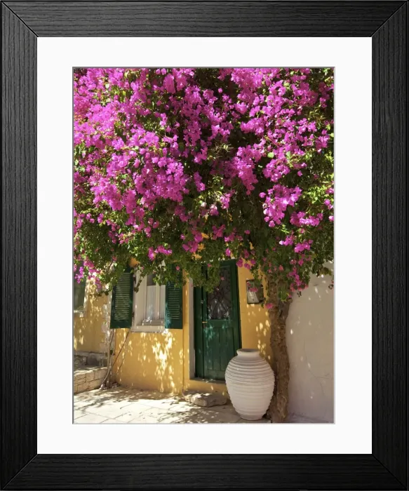 Framed Print : House Covered In Bougainvillea, Paxos, The Ionian Islands, Greek Islands, Greece, Europe Framed Print : House Covered In Bougainvillea, Paxos, The Ionian Islands, Greek Islands, Greece, Europe