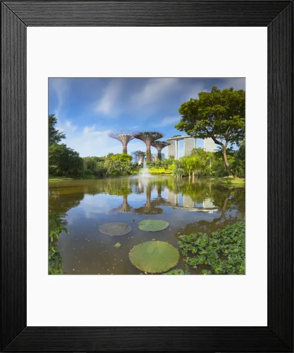 Framed Print : Gardens by the Way and Marina Bay Sands Hotel, Singapore Framed Print : Gardens by the Way and Marina Bay Sands Hotel, Singapore
