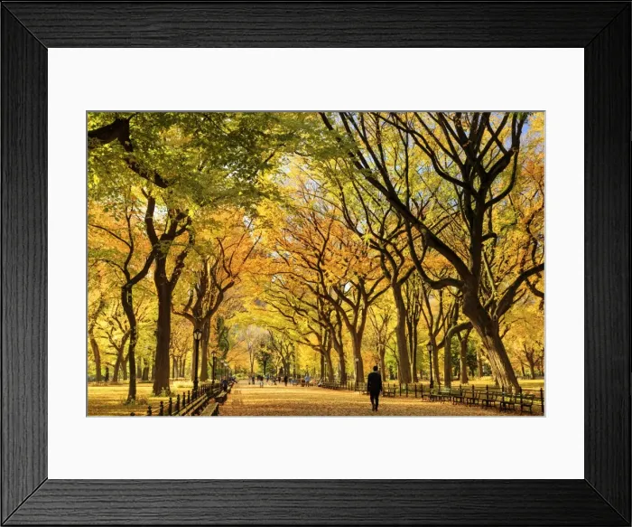 Framed Print : USA, New York City, Manhattan, Central Park, The Mall Framed Print : USA, New York City, Manhattan, Central Park, The Mall
