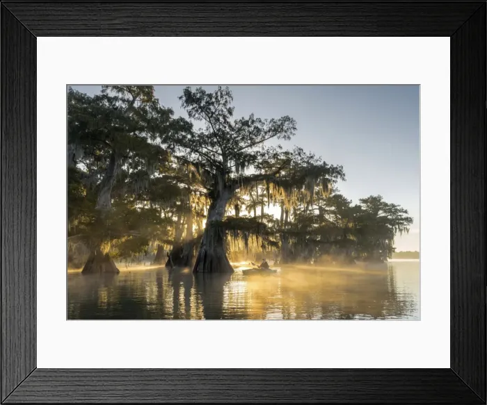 Framed Print : USA, Louisiana, Jefferson Parish, St. Martinville, Lake Fausse Framed Print : USA, Louisiana, Jefferson Parish, St. Martinville, Lake Fausse