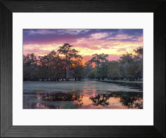 Framed Print : USA, Louisiana, Jefferson Parish, Lafayette, Lake Martin