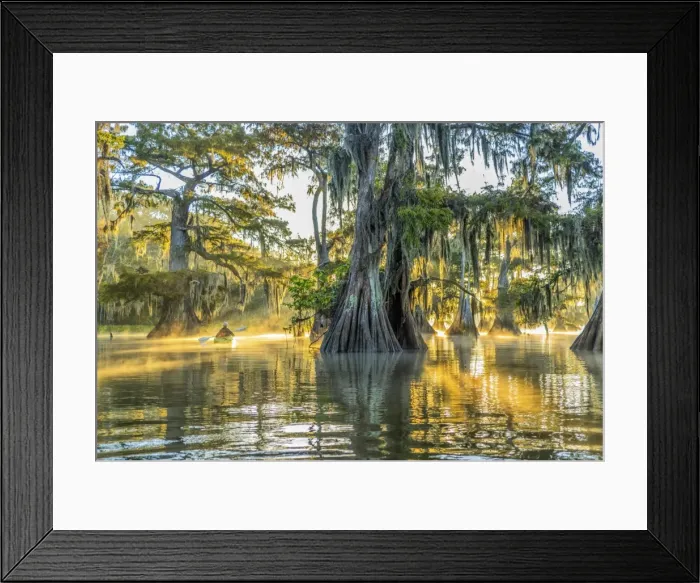 Framed Print : USA, Louisiana, Lake Fausse Pointe State Park is located in Iberia Parish, Louisiana and St Framed Print : USA, Louisiana, Lake Fausse Pointe State Park is located in Iberia Parish, Louisiana and St