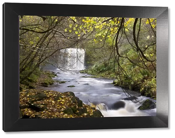 Sgwd yr Eira waterfall on the Afon Mellte river near Ystradfellte, Brecon Beacons National Park