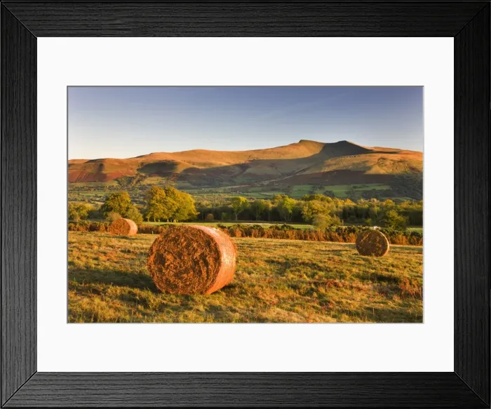 Framed Print : Bracken bales on Mynydd Illtud Common, looking towards Corn Du and Pen y Fan in Framed Print : Bracken bales on Mynydd Illtud Common, looking towards Corn Du and Pen y Fan in