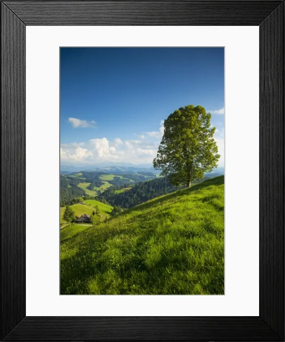 Framed Print : Emmental Valley, Berner Oberland, Switzerland