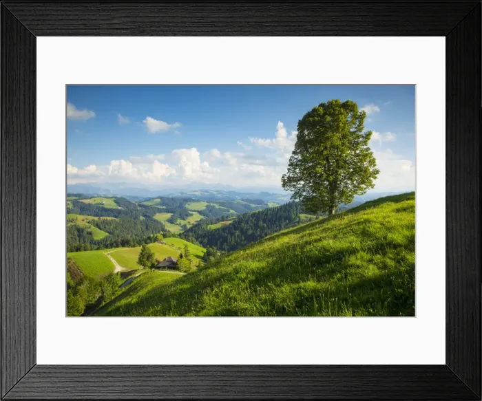Framed Print : Emmental Valley, Berner Oberland, Switzerland