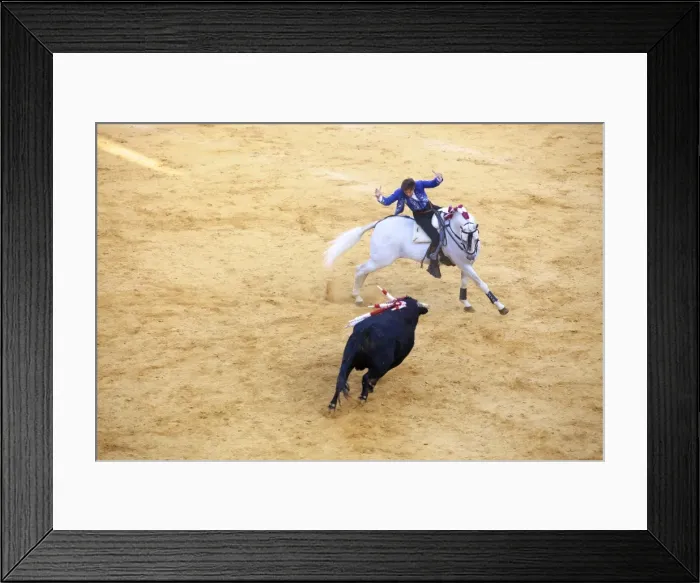 Framed Print : Bullfight, Jerez de la Frontera, Cadiz Province, Andalusia, Spain Framed Print : Bullfight, Jerez de la Frontera, Cadiz Province, Andalusia, Spain