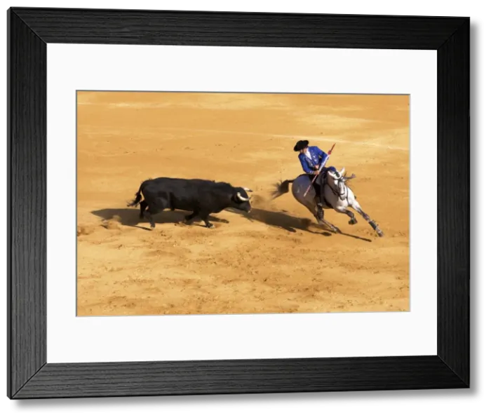 Framed Print : Bullfight, Jerez de la Frontera, Cadiz Province, Andalusia, Spain Framed Print : Bullfight, Jerez de la Frontera, Cadiz Province, Andalusia, Spain