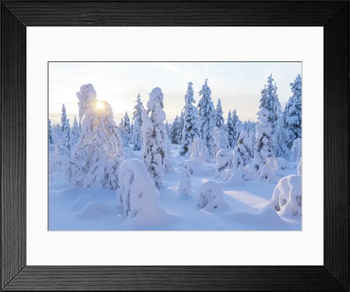 Framed Print : Winter in Riisitunturi National Park, Lapland, Finland Framed Print : Winter in Riisitunturi National Park, Lapland, Finland