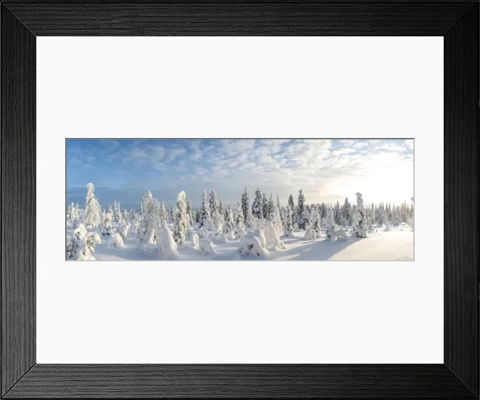 Framed Print : Snow covered trees, Riisitunturi National Park, Lapland, Finland Framed Print : Snow covered trees, Riisitunturi National Park, Lapland, Finland