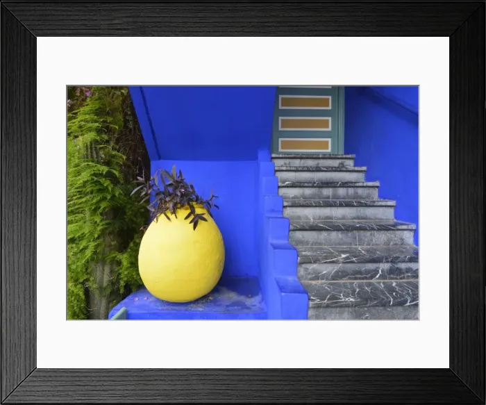 Framed Print : The blue and yellow contrast found in the Majorelle garden. Marrakech, Morocco