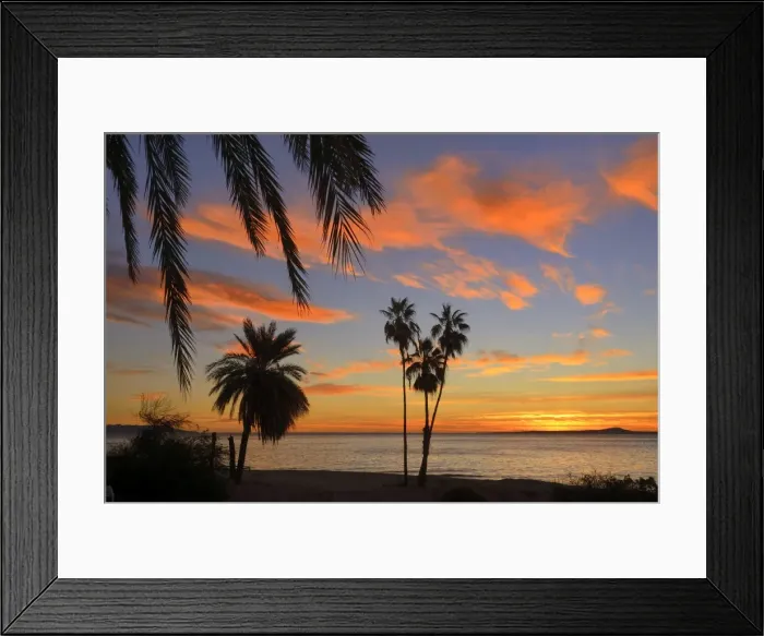 Framed Print : Palm trees at sunset in La ventana, Baja California Sur, Mexico