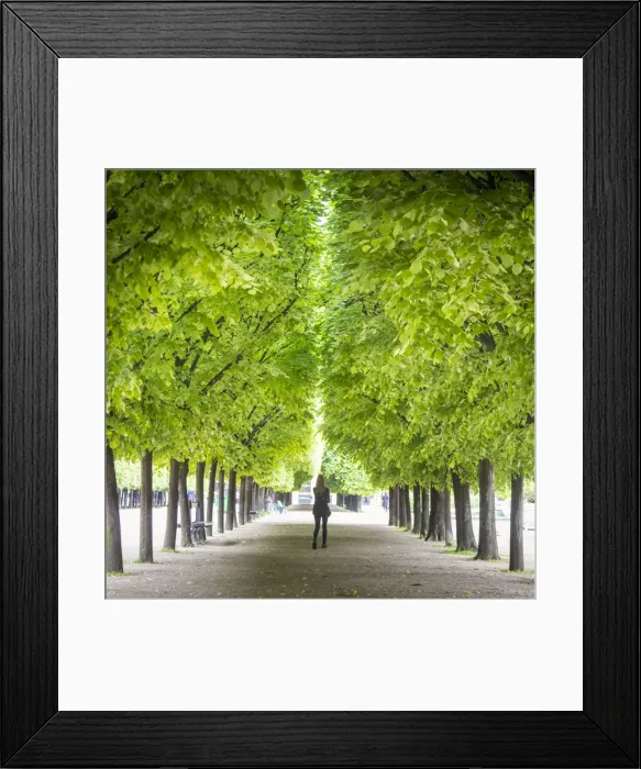 Framed Print : Le Palais Royal, Paris, France