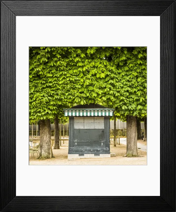 Framed Print : Palais du Luxembourg, Paris, France Framed Print : Palais du Luxembourg, Paris, France