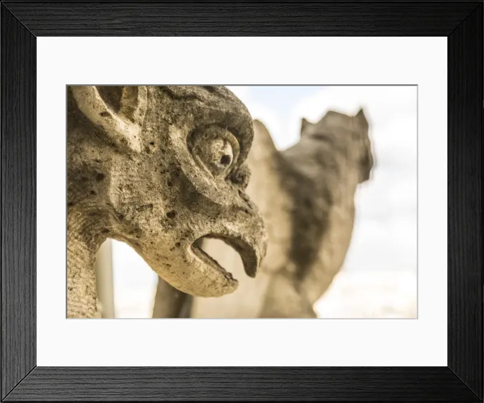 Framed Print : Gargoyles on the Notre Dame Cathedral, Paris, France Framed Print : Gargoyles on the Notre Dame Cathedral, Paris, France