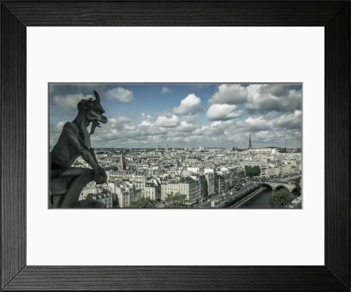 Framed Print : View from the Notre Dame Cathedral, Paris, France Framed Print : View from the Notre Dame Cathedral, Paris, France