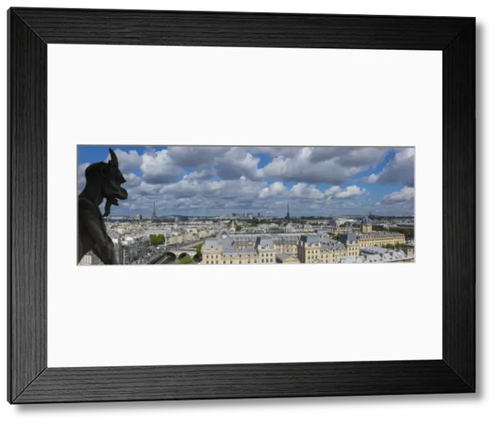 Framed Print : View from the Notre Dame Cathedral, Paris, France Framed Print : View from the Notre Dame Cathedral, Paris, France