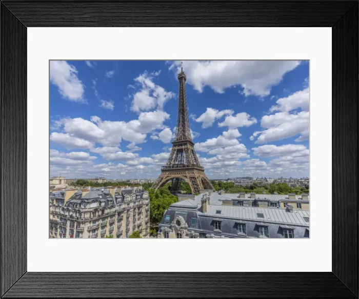 Framed Print : Eiffel Tower, Paris, France