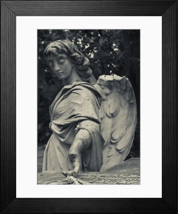 Framed Print : USA, Georgia, Savannah, Bonaventure Cemetery