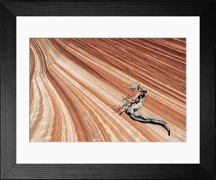 Framed Print : United States of America, Arizona, North Coyote Buttes Framed Print : United States of America, Arizona, North Coyote Buttes