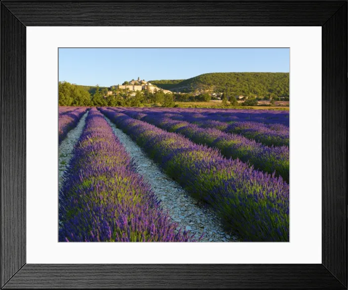Framed Print : France, Provence, Banon, lavender to foreground