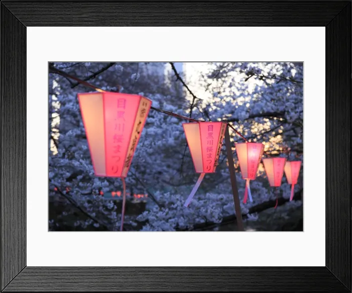 Framed Print : Japan, Tokyo, Cherry Trees in full bloom along Meguro River Framed Print : Japan, Tokyo, Cherry Trees in full bloom along Meguro River